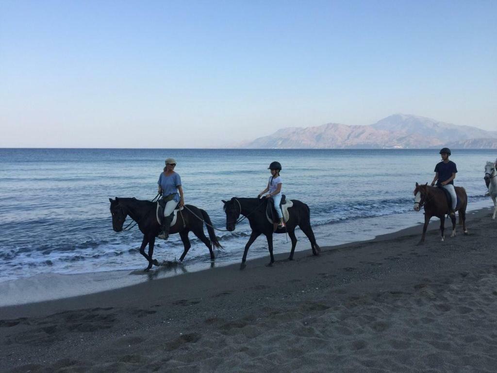 Kritikies Kydonia Villa Pitsidia Dış mekan fotoğraf