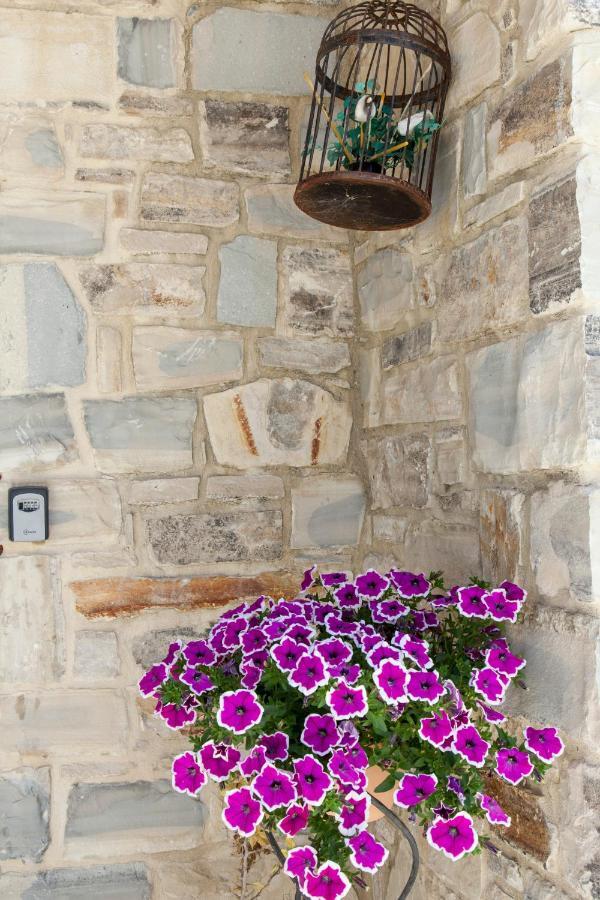 Kritikies Kydonia Villa Pitsidia Dış mekan fotoğraf